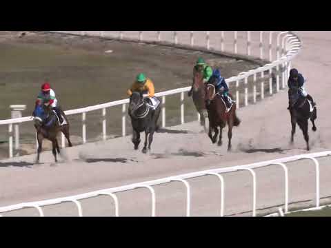 2022.04.17. 04. futam - GRÓF ERDŐDY RUDOLF EMLÉKVERSENY (I.kat.) (szintetikus pálya)