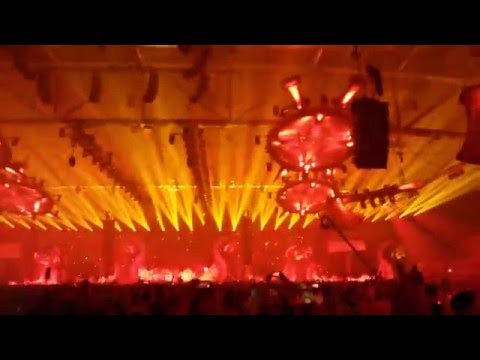 Mad Dog vs Noize Suppressor @ Masters Of Hardcore 2016