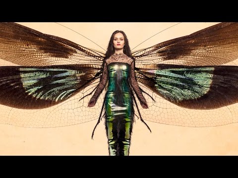 How to Set Up and Use a Wacom Tablet