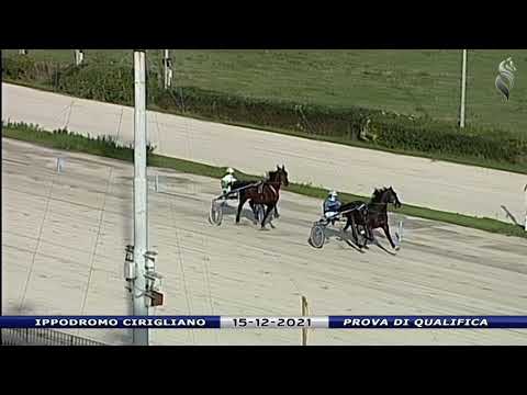 Aversa trotto 15 Dicembre 2021 - Prova di qualifica