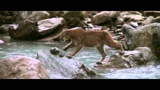 Andreas Moe - Cecilia (L'Ours Video)