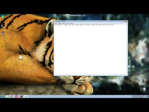 GTA NEXTRP. Launcher открывается черным окном