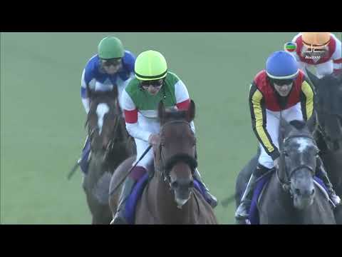 2021 有馬紀念賽 Arima Kinen 有馬記念 樂透心 Efforia エフフォーリア 橫山武史