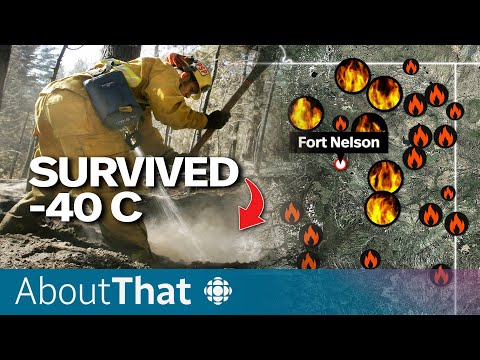 Why this year-old wildfire never stopped burning | About That