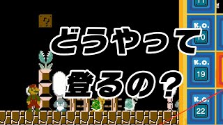 パックンいるけどどうやって登れと？