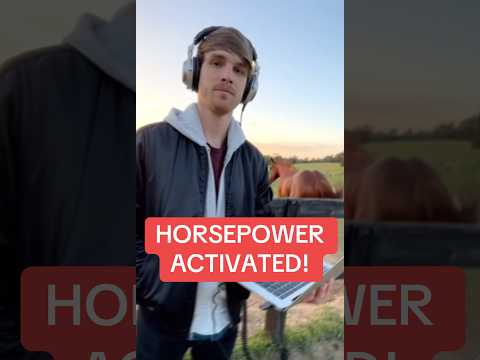 Tested my drop on a horse… HORSEPOWER CONFIRMED! 🐎🔥 #EDM #BassMusic #RaveFam #Dubstep #horse