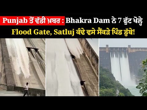 Punjab ਤੋਂ ਵੱਡੀ ਖ਼ਬਰ : Bhakra Dam ਨੇ 7 ਫੁੱਟ ਖੋਲ੍ਹੇ Flood Gate, Satluj ਕੰਢੇ ਵਸੇ ਸੈਂਕੜੇ ਪਿੰਡ ਡੁੱਬੇ!