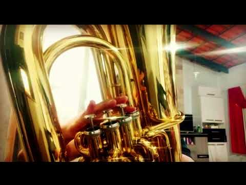 HINO 455  - QUÃO DITOSO É CAMINHAR COM JESUS | HINO CCB | ÓRGÃO E TUBA (J981)