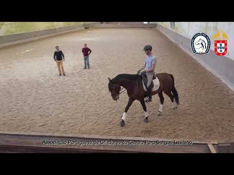 220428 9 Proj Ensino APSL&FEP - João Embaixador com Lancelot do Monte