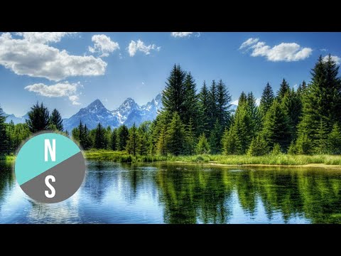 Relax 15 minutes - Birds Singing and Water Sounds - Nature calm music for Peace and Relaxation