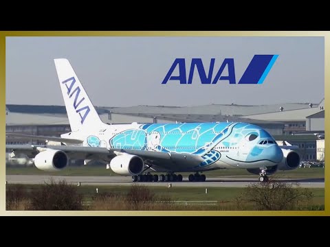 ✈️ First ANA Airbus A380 takes to the skies ✈️ The FLYING HONU