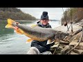 Crushing BIG Fish On The Niagara River HOT BITE