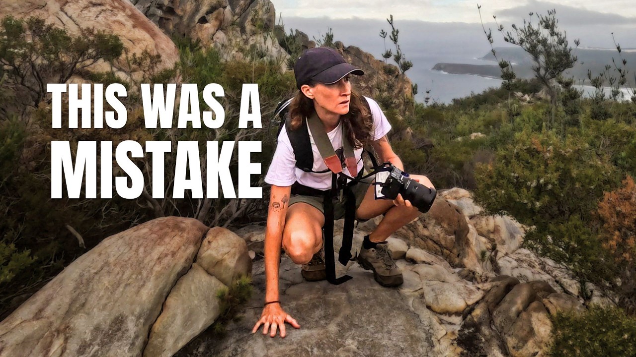 I Got Sick at the Top of a Mountain Alone | Solo Van Life