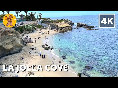 4K La Jolla Cove Walking Tour, San Diego California, USA | 🔊 Binaural Sound