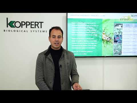 Fotograma del vídeo: Polinizadores y control biológico en el cultivo del almendro