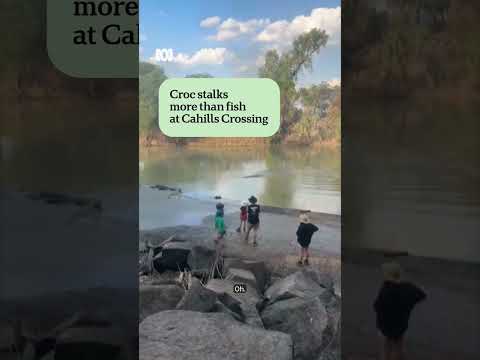 A croc at Cahills Crossing in the NT has come close to eating more than just the fish 🐊🎣
