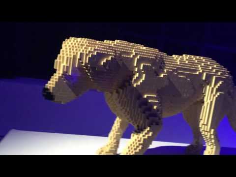 LE CANNIBALE 's L / EGOLANDIA - BOLD AS GOLD & ROLLO//DEXX