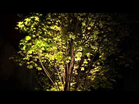 un*OFFICIAL* music video for Buckethead "Rooster Landing"