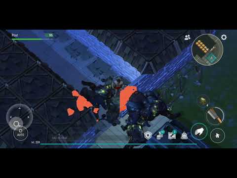 ldoe raid player9935