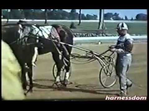 1963 DuQuoin State Fair SPEEDY SCOT Hambletonian 2nd Heat Ralph Baldwin
