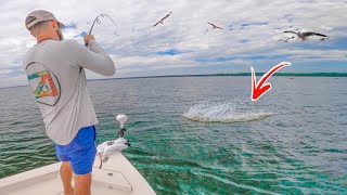 You Are Missing Some GIANT Fish If You Aren't Doing This!
