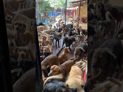 Gracias a nuestros amigos de San José Acatempa, Jutiapa, ellos son Iglesia El Shaddai. 💖