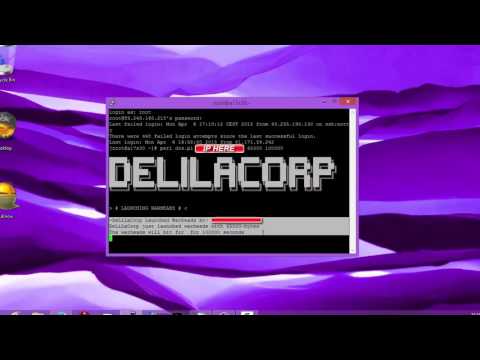 How To DoS With A VPS And A Perl DoS Script