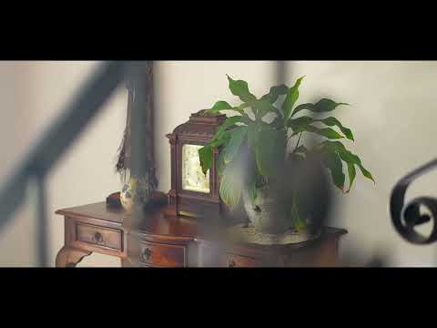 15 Whale Cove, Red Beach, Rodney, 4 slaapkamers, 3 badkamers, House