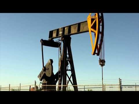 Euro zone inflation surges past ECB target on oil shock