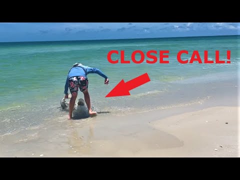 SHARK MANIA! I WAS ALMOST BIT! Nonstop Beach Shark Fishing with tourists everywhere