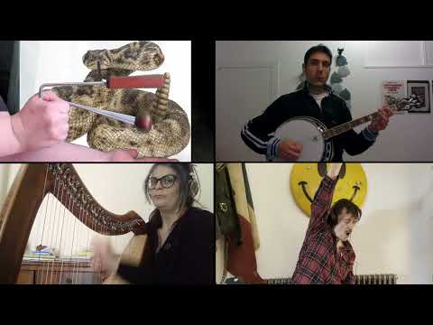 The PoguestrA (feat. Spider Stacy & Andy Nolan) - Boys From The County Hell (instrumental version)