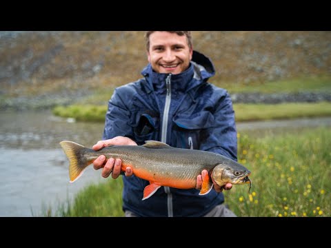 Fi[nni]sh quarantine 2020