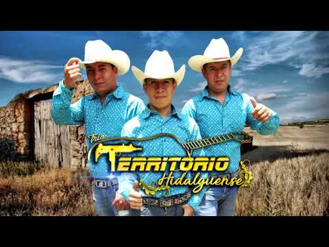 !!CORRIDO A MI VIDA !! Trío: Territorio Hidalguense