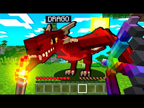 HO UCCISO IL MIO PRIMO DRAGO SU MINECRAFT - ITA