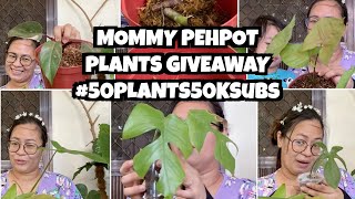 FRIDAY GROUP: MOMMY PEHPOT 50 PLANTS GIVEAWAY (50K SUBS CELEBRATION)
