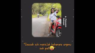 Download lagu STORY WA TERBARU || CEWEK SEKSI mp3 Download lagu STORY WA TERBARU || CEWEK SEKSI mp3
