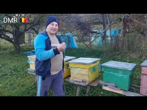 Talking to homely people, at the Puț family's home, in Făureşti, Maramureș