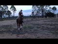IMG 00742