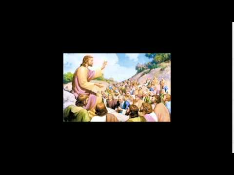 Homilía miércoles 28 enero