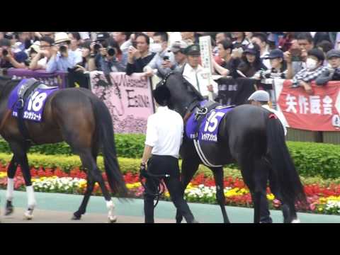 レッドアンシェル　in　 東京競馬場　at 2017.05.07. NHKマイルカップ（ＧⅠ）　＃１