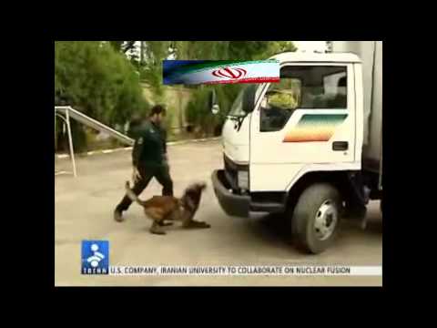 Iranian police dogs highly trained. سگهای تربیت شده پلیس ایران
