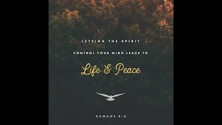 Sometimes He Calms the Storm - Scott Krippanye