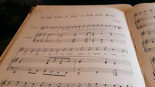 Plain or fancy? How do you like your Scottish songs?