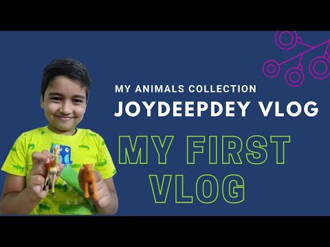 MY ANIMALS TOY COLLECTION VLOG | MY FIRST VLOG #JOYDEEPDEYVLOGS
