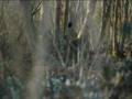 no-man - Wherever There Is Light 