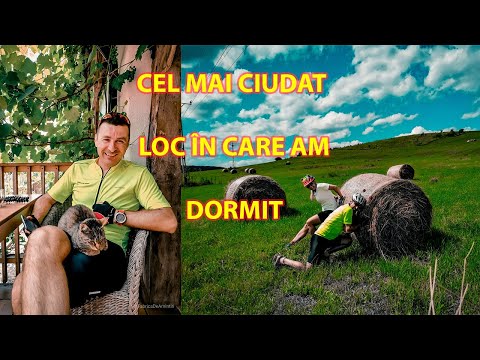 GHID DE CALATORIE IN SATUL VISCRI | Transilvania