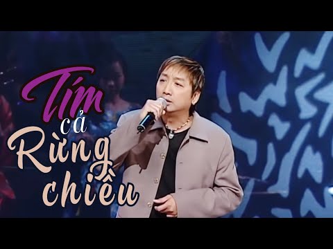 VAN SON 😊 Live Show Dallas | Tím Cả Rừng Chiều | Trường Vũ