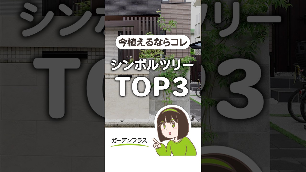 今人気🌲シンボルツリーランキングTOP3 #マイホーム