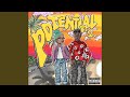 Potential Pt2