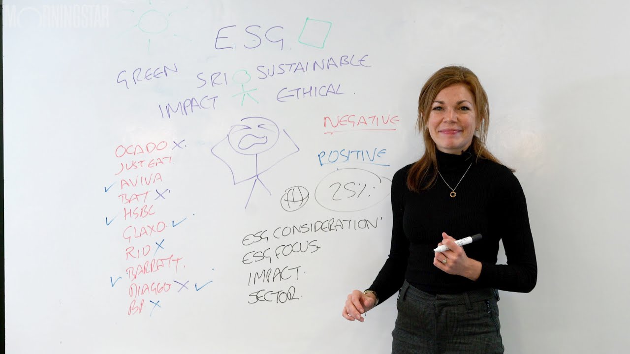 What is ESG?